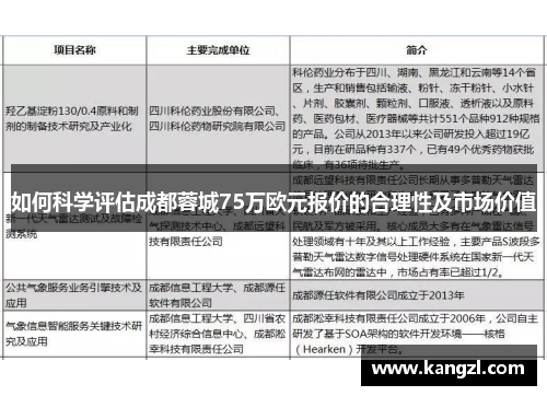 如何科学评估成都蓉城75万欧元报价的合理性及市场价值