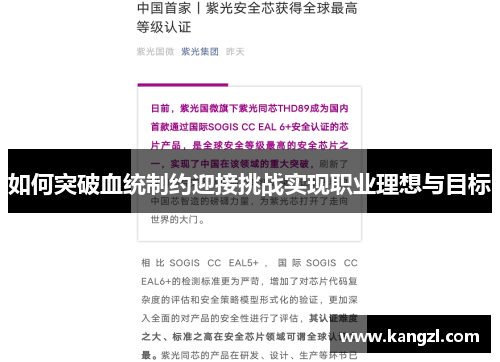 如何突破血统制约迎接挑战实现职业理想与目标